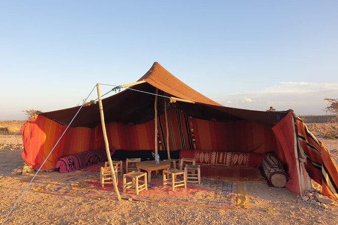 Camel ride Marrakech - Price Value: Is $19.70 Really Worth It?