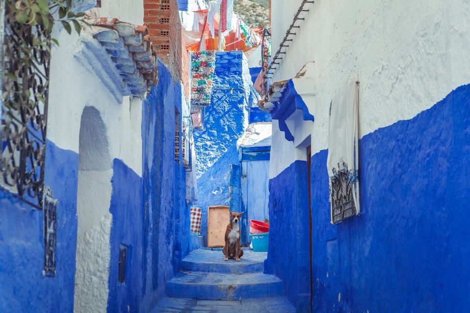 Chefchaouen Day Trip from Fez (Shared Group Tour) - Ras el Ma and the start of your free time (about four hours)