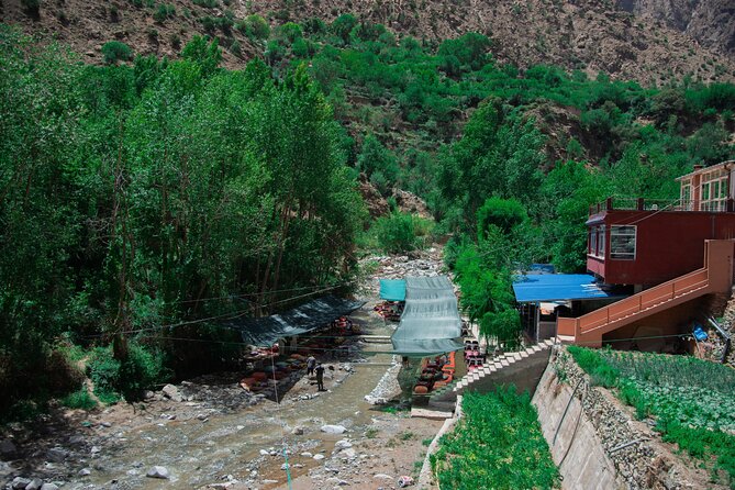Day trip - Atlas Mountains Ourika Valley Waterfall From Marrakech - Timing, lunches, and the real cost-value question