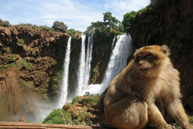 Day Trip To Ouzoud Waterfalls (Guide Hike & Boat are options) - Optional Boat Ride: A Second Angle on the Same Water