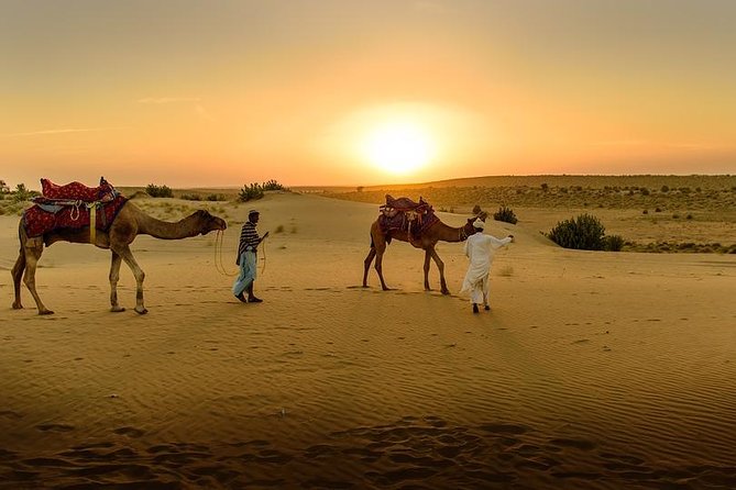 Desert Agafay & Atlas Mountains, Valleys & Waterfalls Tour from Marrakech - Camel Ride in the Atlas: Short, Fun, and Usually Not Scary