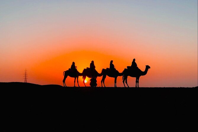 Desert Agafay & Atlas Mountains, Valleys & Waterfalls Tour from Marrakech - Argan Women’s Cooperative: More Than a Quick Shop Stop