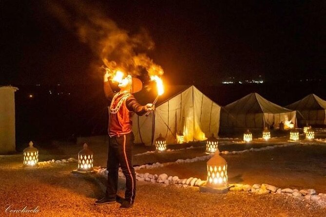 Desert D'Agafay Package - Quad, Dromedary and Dinner Show - Key Highlights Before You Go