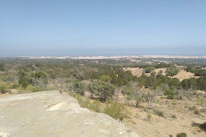 Essaouira day trip from Marrakech - The Real Point of Going: Marrakech to Atlantic Calm