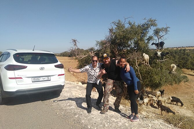 Essaouira day trip from Marrakech - Meeting at 8:00 am: Where to Show Up in Marrakech