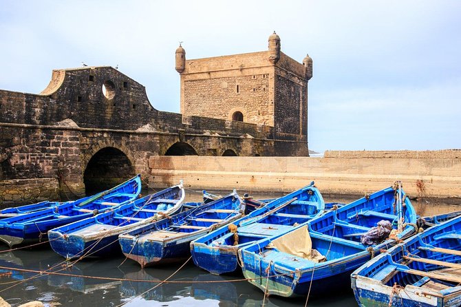 Essaouira day trip from Marrakech - Chichaoua’s Argan Oil Co-op Stop (Goats Included)