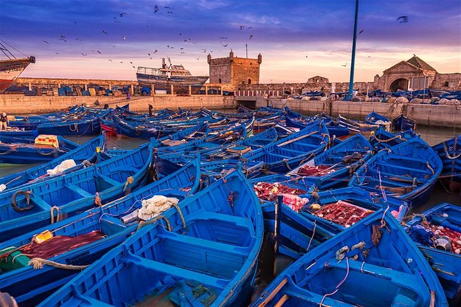Essaouira Day Trip From Marrakech - Getting to Essaouira: timing, group flow, and what to expect