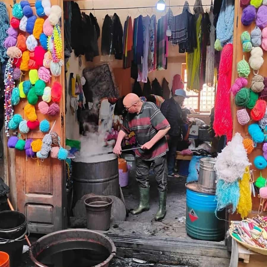 Explore Fes: Unforgettable Guided Walking Tour of the Medina - Key highlights you’ll feel on the ground