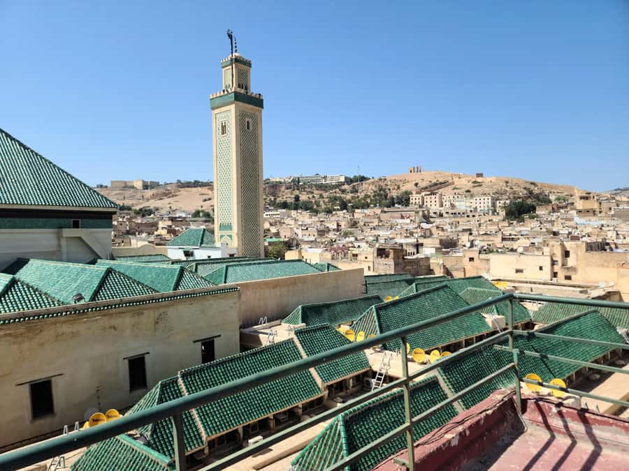 Explore Fes: Unforgettable Guided Walking Tour of the Medina - Tanneries and Nejjarine stops: the senses meet real craft