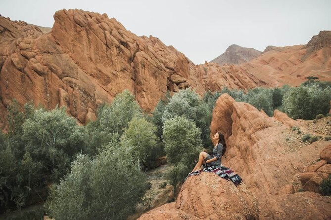 Fabulous 3 Day Desert Adventure to Merzouga with Small Group - Value check: does $110 give you a good deal?