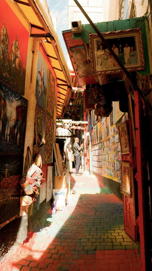 Fes: Royal Palace, Madrasa, Tannery & Souks and Medina Tour - Price and logistics for a $15, 4-hour day