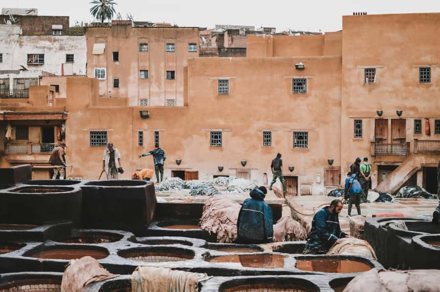 Fes: Royal Palace, Madrasa, Tannery & Souks and Medina Tour - Should you book this Fes Medina Tour?