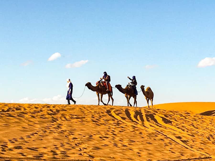 From Agadir: 4×4 Jeep Sahara Desert Tour with Lunch - Price and Value: Is Around $49 a Fair Deal?