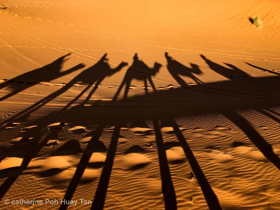 From Agadir: 4×4 Jeep Sahara Desert Tour with Lunch - Hotel Pickup and Timing: When Your Day Starts and Ends