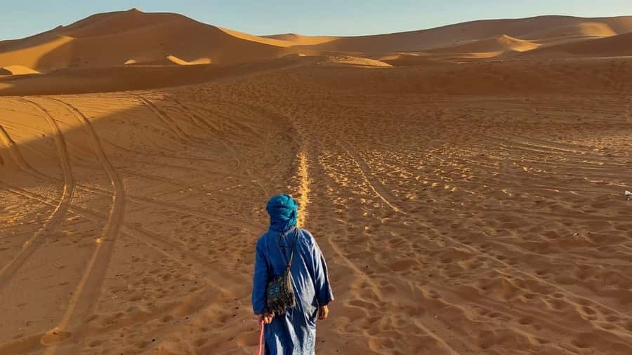 From Fes: 3 Days and 2 Nights Desert Trip to Marrakech - Cedar Forest and Azrou monkeys: your first nature hit