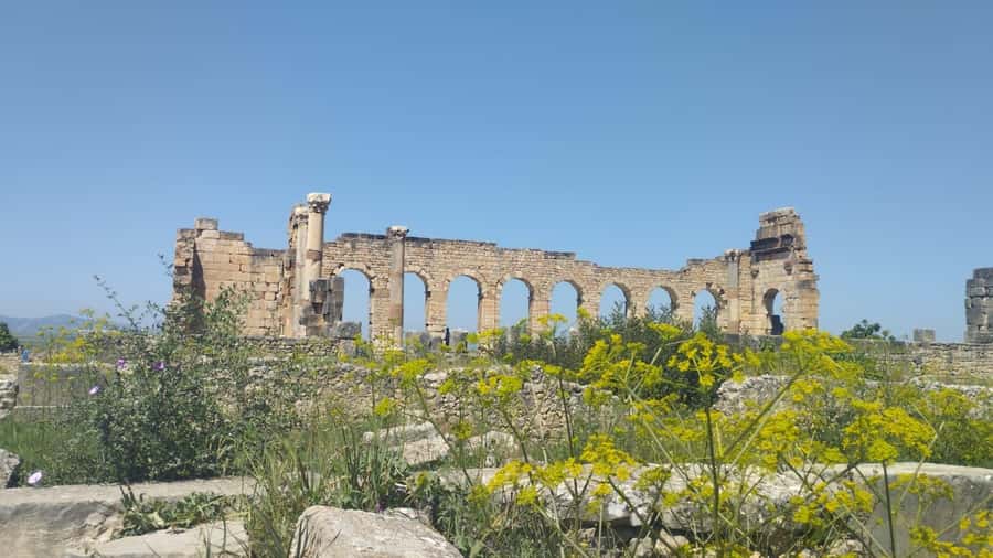 From Fes: Meknes Volubilis and Moulay Idriss Day Trip - How the drive from Fes stays comfortable (and useful)