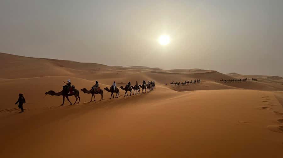 From Fes to Marrakech: 3-Day Sahara Desert Discovery Tour - Price and Comfort: what $182 gets you in real terms
