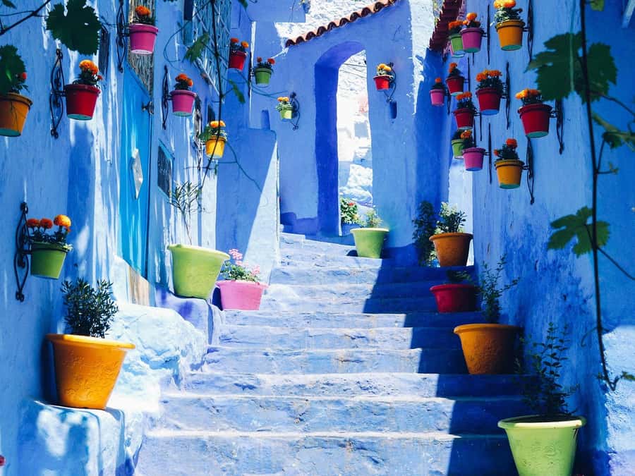 From Fez: Day Tour to the Blue Town of Chefchaouen - The Rif Road Trip: Views, Photo Stops, and Driver Narration