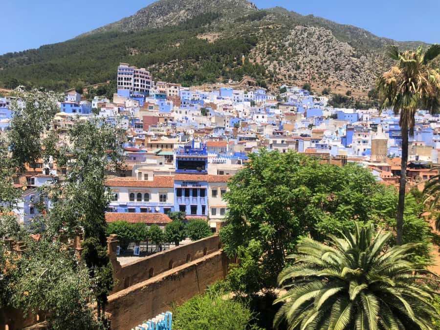 From Fez: Day Tour to the Blue Town of Chefchaouen - Plaza Uta el-Hammam: The Heartbeat of the Town