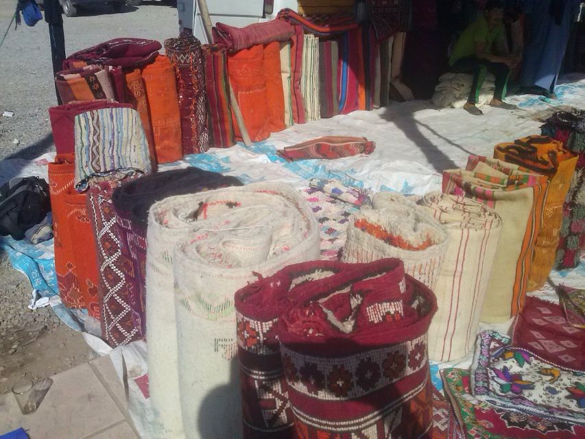 From Fez: Middle Atlas Day Trip with Ifrane National Park - Tea in a Second Cave Home: The Culture Connection Wraps Up