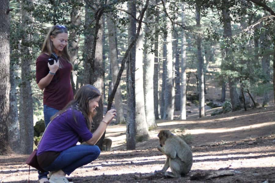 From Fez: Middle Atlas Day Trip with Ifrane National Park - How Pickup and the Drive From Fez Works
