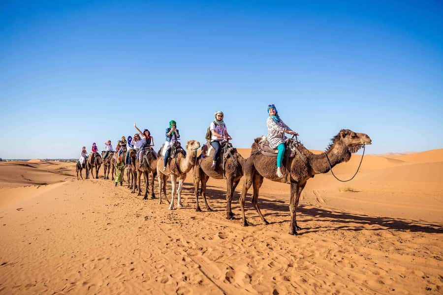 From Fez: Sahara Desert 2-Day Tour with Merzouga Camp Stay - Ifrane and the Middle Atlas: ski-town vibes plus monkey antics