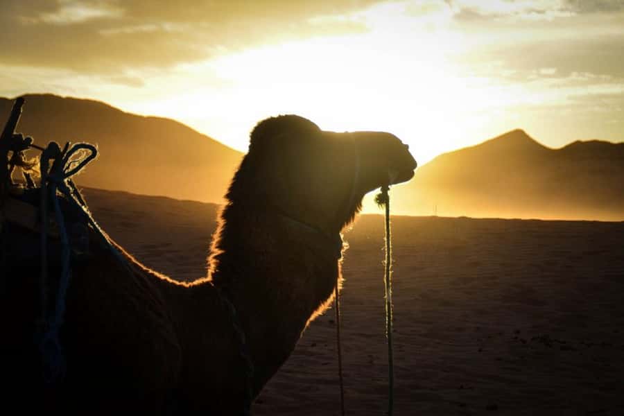 From Marrakech: 2-Day Desert Excursion - Ait Benhaddou: the movie-set ksar that still feels lived-in