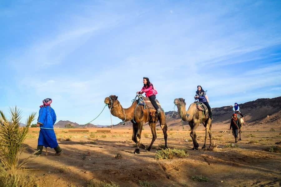 From Marrakech: 2-Day Desert Excursion - Anti-Atlas and the Tizi’n-Tinifft pass: views with structure, not just scenery