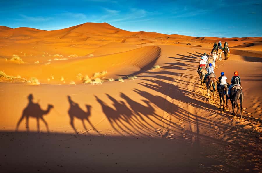 From Marrakech: 3-Day Merzouga and Sahara Desert Tour - Who should book this tour (and who should skip it)