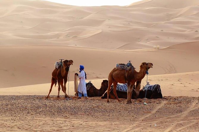 From Marrakech 4 Days Tour To Morocco Sahara Desert - Marrakech pickup and the start at 7:00 am