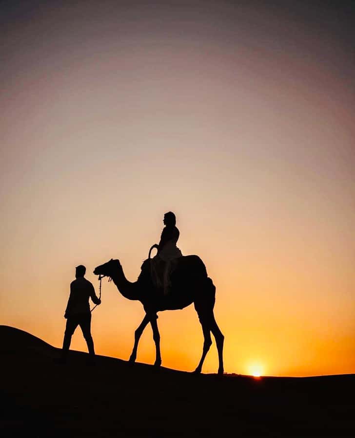 From Marrakech: Agafay Desert Dinner and Optional Camel Ride - Should You Book This Agafay Desert Dinner and Optional Camel Ride?