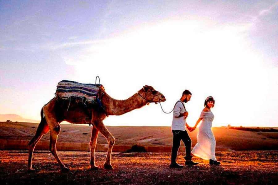 From Marrakech: Agafay Desert Sunset Dinner with Live Show - Camel rides and quad biking: optional thrills, not the whole plan