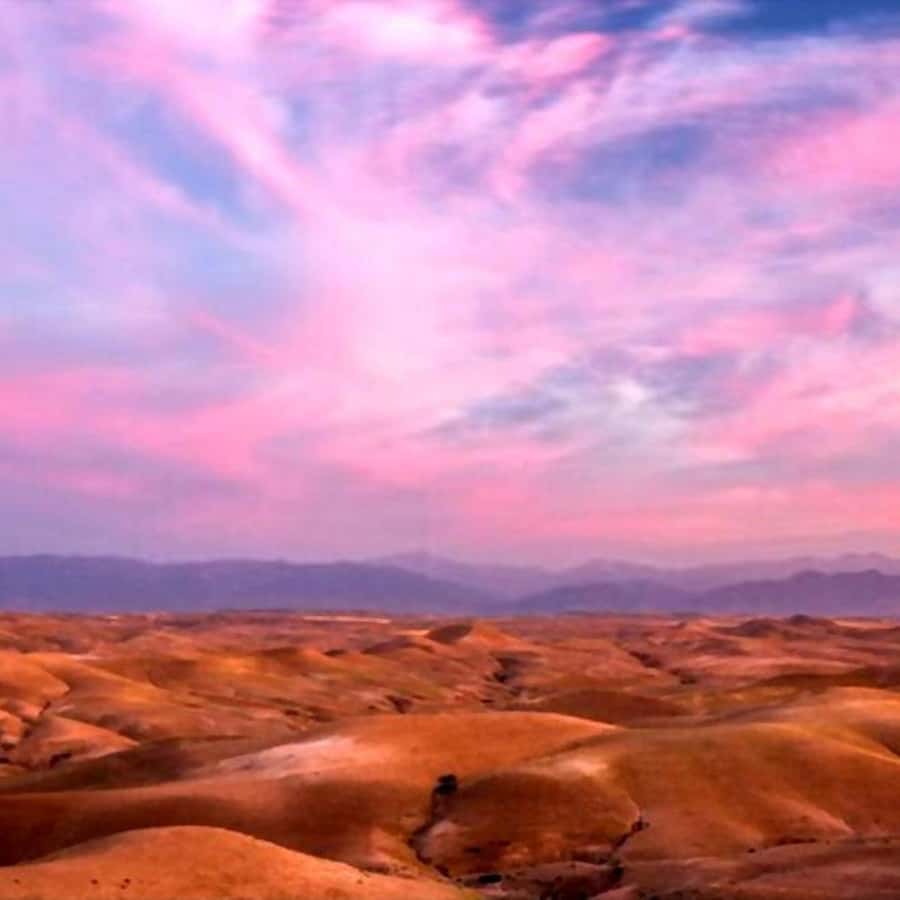 From Marrakech: Agafay Desert Sunset Dinner with Live Show - Who this Agafay sunset dinner suits best