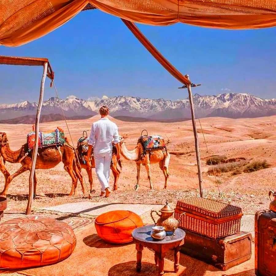 From Marrakech: Agafay Desert Sunset Dinner with Live Show - The argan oil women’s co-op stop: what you’ll actually learn
