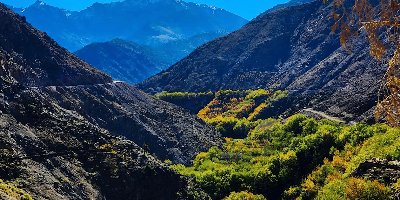 From Marrakech: Atlas Mountains Day Trip with Camel Ride - Moulay Brahim Gorges camel ride: the fun part with the real views