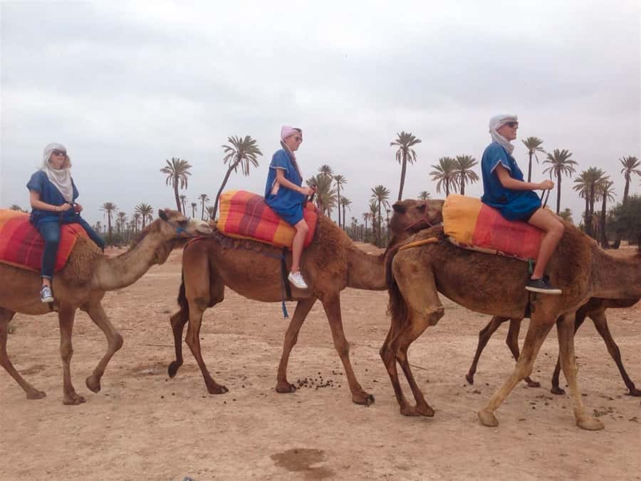 From Marrakech: Camel Ride, Quad Bike & Spa Full-Day Trip - Palmeraie camel ride: palms, tea, and a Berber-style welcome