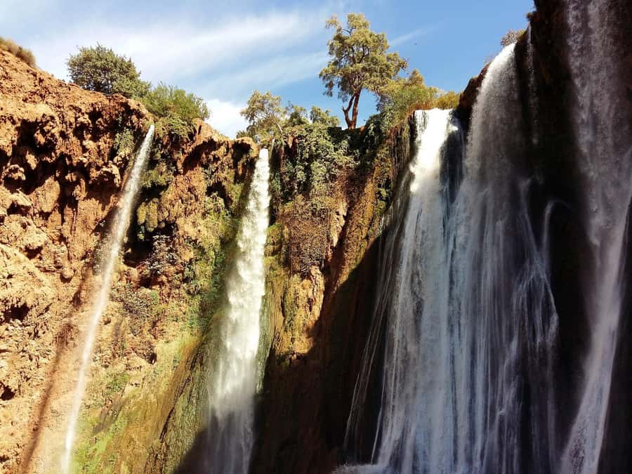 From Marrakech: Day Tour to Ouzoud Waterfalls - Quick hits