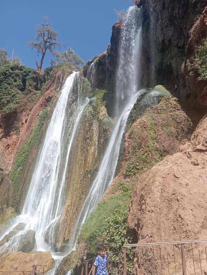 From Marrakech: Day Tour to Ouzoud Waterfalls - Berber lunch above the falls: what you get, what you control, what it costs