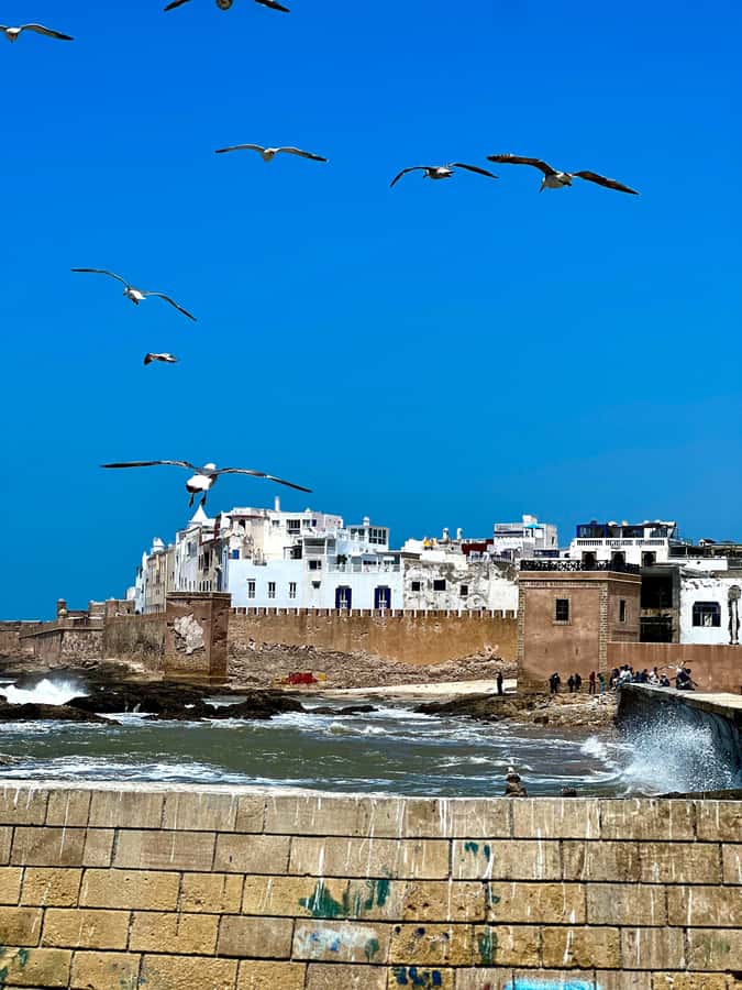 From Marrakech: Day Trip to Essaouira with Transfers - Key things to know before you go
