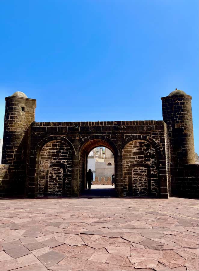 From Marrakech: Day Trip to Essaouira with Transfers - Port time and grilled fish: the best meal moment of the day