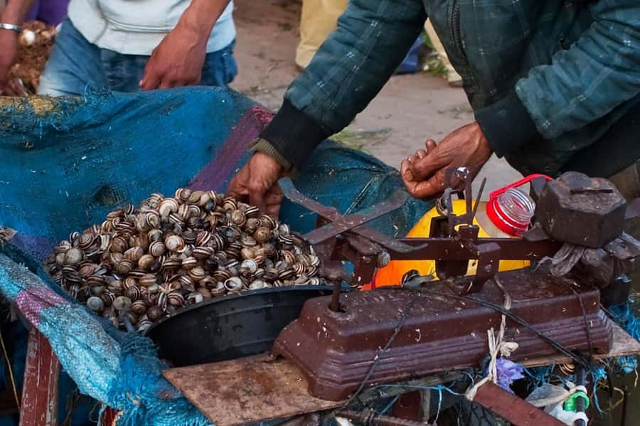 From Marrakech: Essaouira & Atlantic Coast Full-Day Trip - Drivers Who Turn Transit Into Part of the Experience