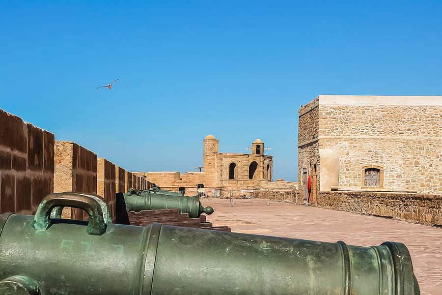 From Marrakech: Essaouira Day Tour with Optional Activities - Who should book this Essaouira day tour?