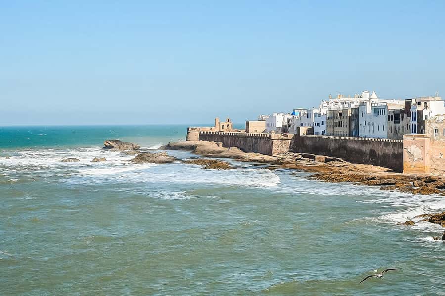 From Marrakech: Essaouira Day Tour with Optional Activities - Lunch by the Atlantic: fish you can plan around