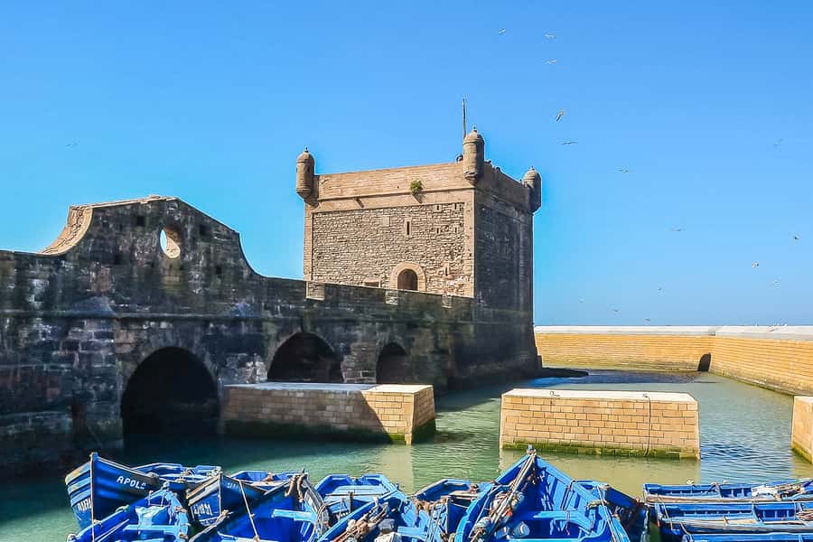 From Marrakech: Essaouira Day Tour with Optional Activities - Price and value: is $21 really fair?
