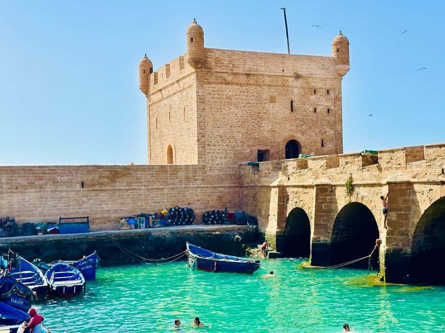 From Marrakech: Essaouira Day Trip with Beach Activities - How the Argon-Co-op stop fits into the real story