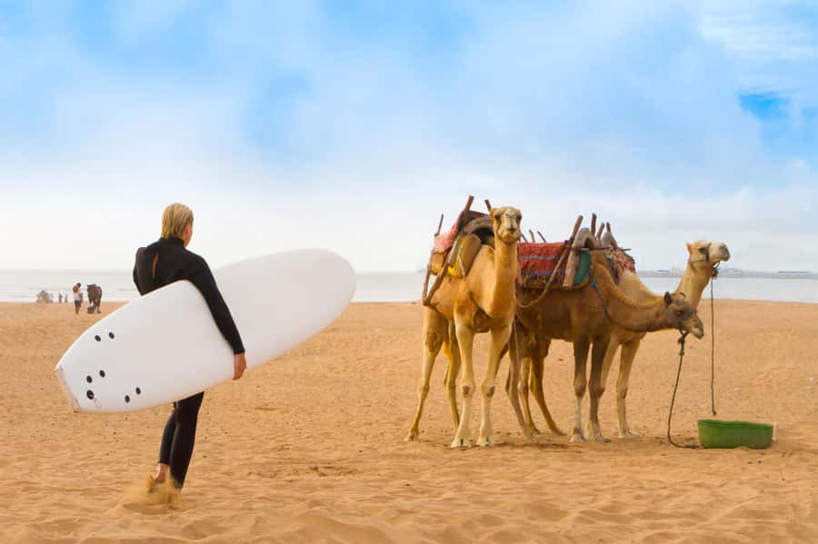 From Marrakech: Essaouira Day Trip with Hotel Pickup - Essaouira arrival: 4 hours to explore at your own pace