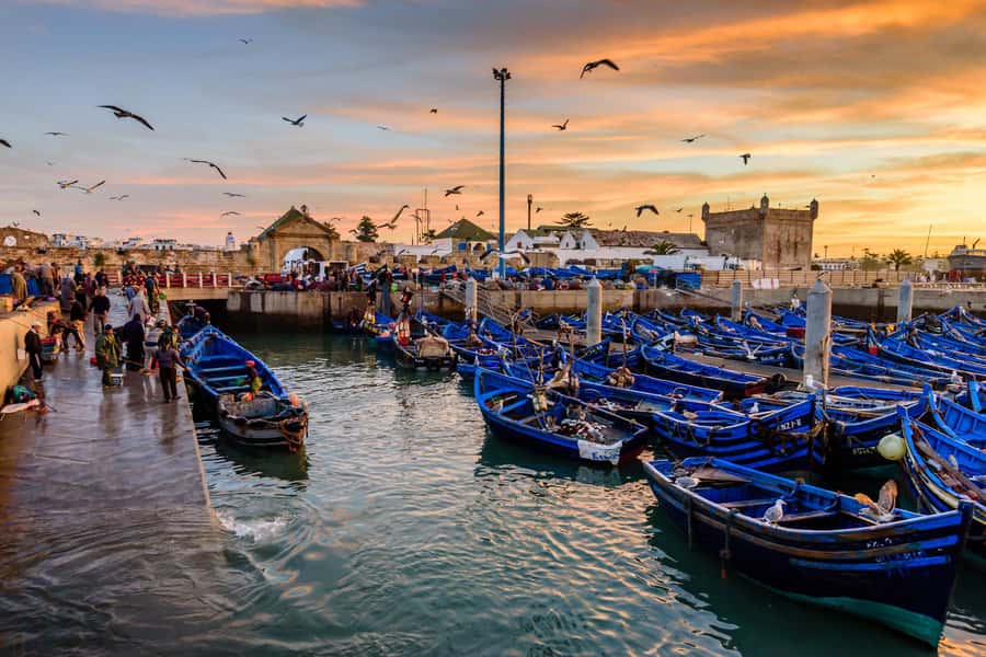 From Marrakech: Essaouira Day Trip with Hotel Pickup - Who should book this Essaouira day trip