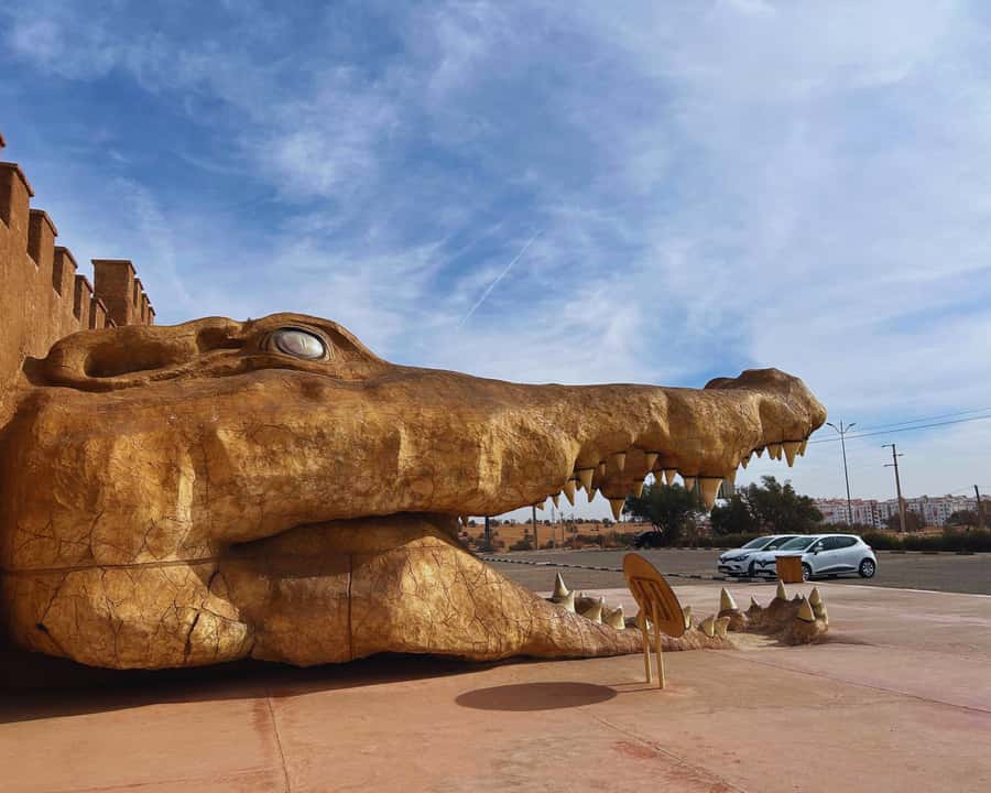 From Marrakech: Full-Day Trip to Agadir - Guides and drivers: why this trip depends on the people behind the wheel