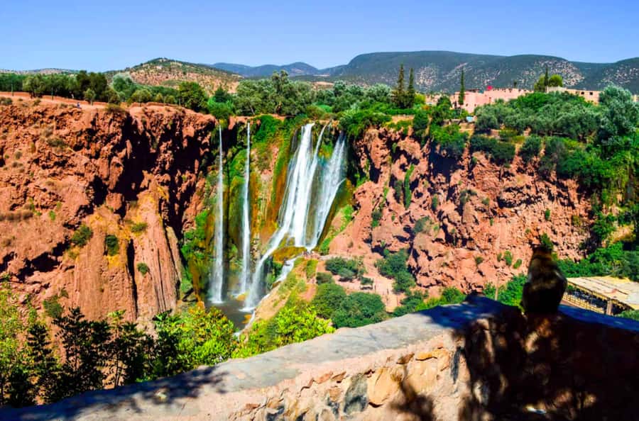 From Marrakech: Guided Ouzoud Waterfalls Tour with Boat Ride - Should You Book This Ouzoud Tour From Marrakech?