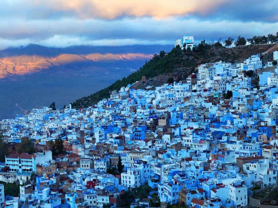 From Marrakech: Imperial Cities of Morocco 3-Day Tour - Casablanca and Rabat: two different kinds of Morocco power